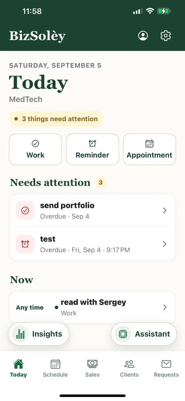 BizSolèy Today screen on iPhone with work, reminder, appointment, insights, assistant, and navigation